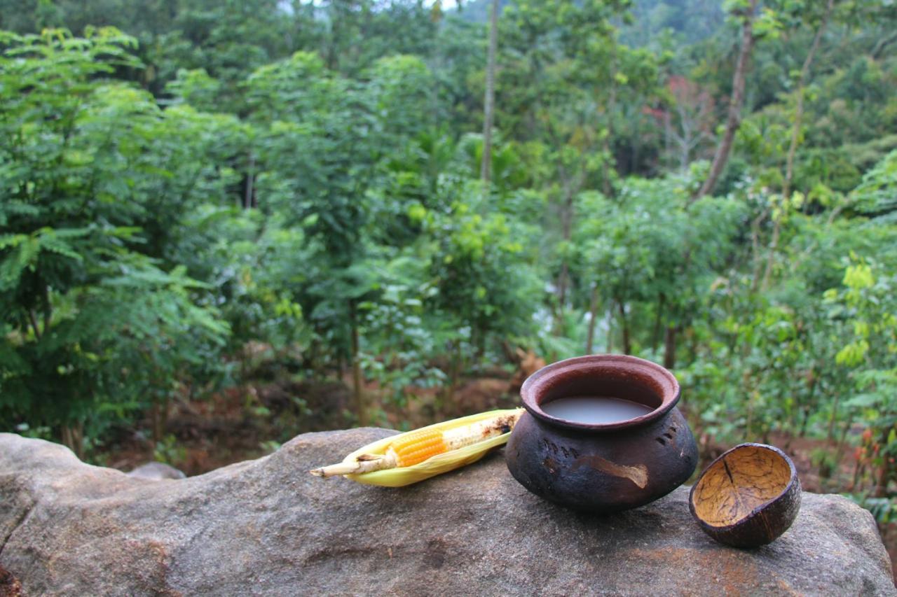 Silver Hill Ecovillage