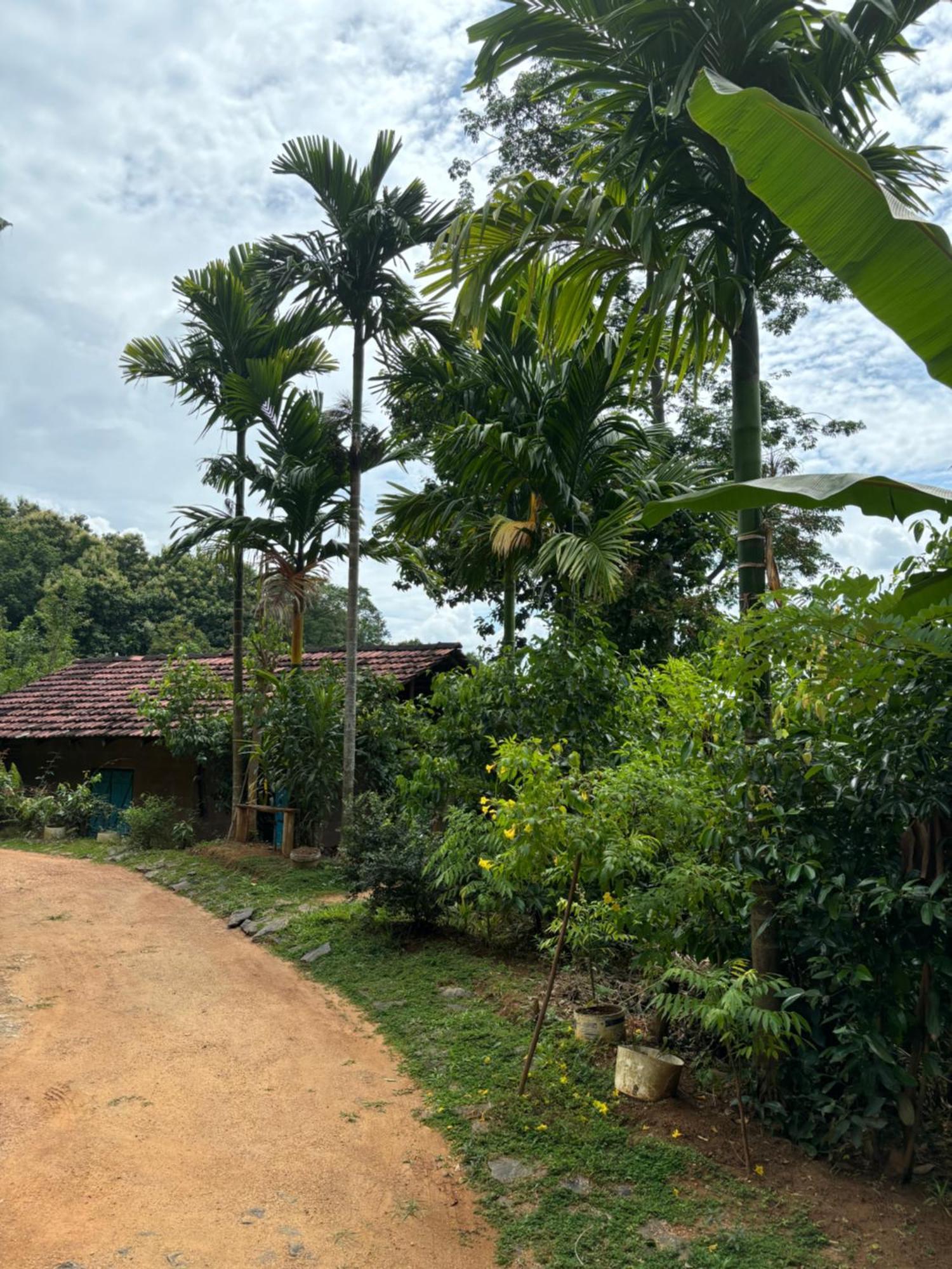 Silver Hill Ecovillage